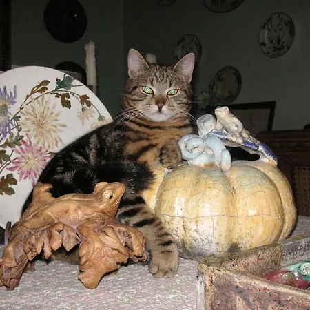 La Traversina Stazzano