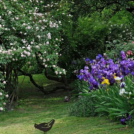 La Traversina Stazzano