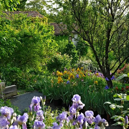 La Traversina Stazzano