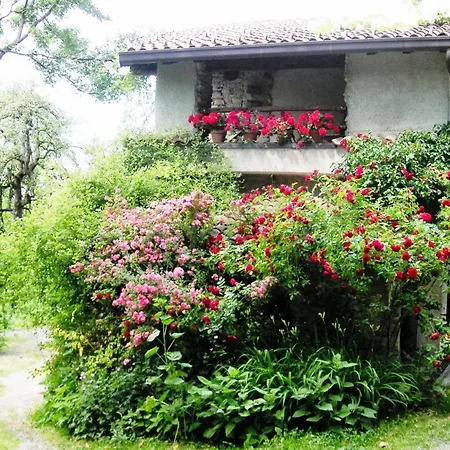 Farm stay La Traversina Stazzano
