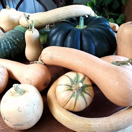 Çiftlik konaklama La Traversina *