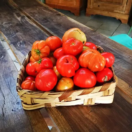 La Traversina Çiftlik konaklama Stazzano