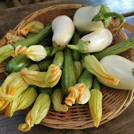 Çiftlik konaklama La Traversina Stazzano