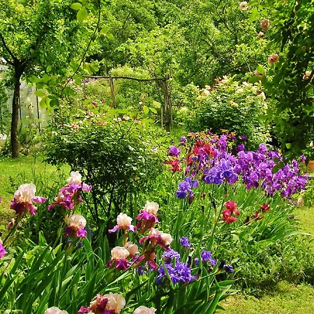 La Traversina Stazzano