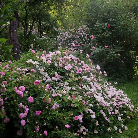 La Traversina Stazzano