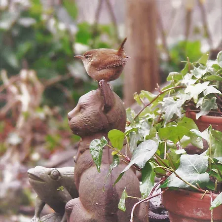 La Traversina Bauernhof *