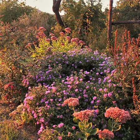 La Traversina Stazzano