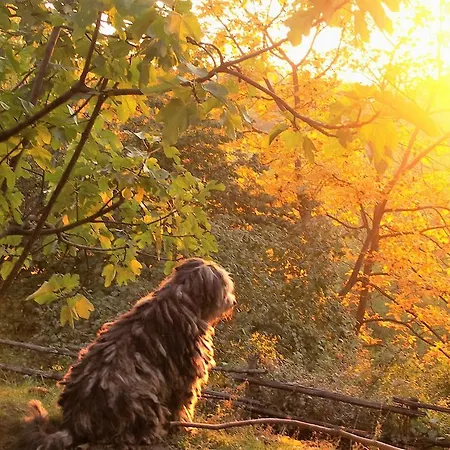 La Traversina Stazzano