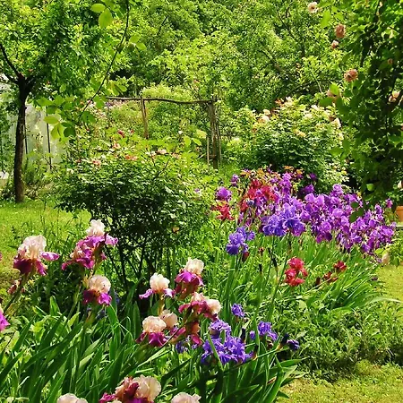 La Traversina Farm stay