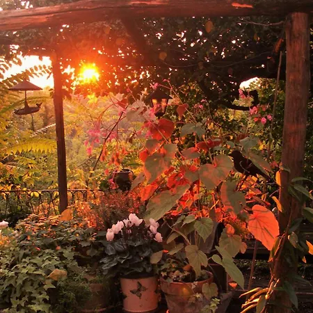 La Traversina Farm stay
