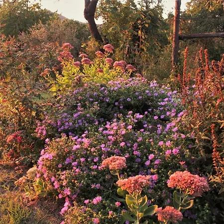 La Traversina Farm stay *