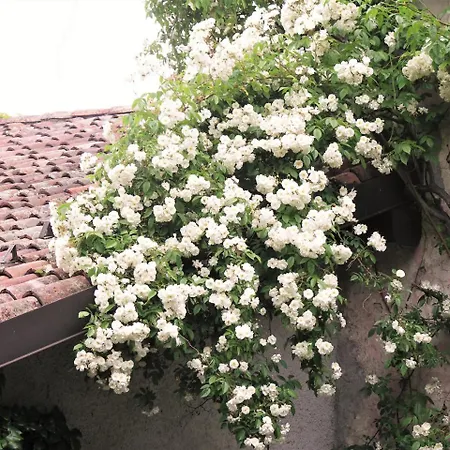 La Traversina * Stazzano