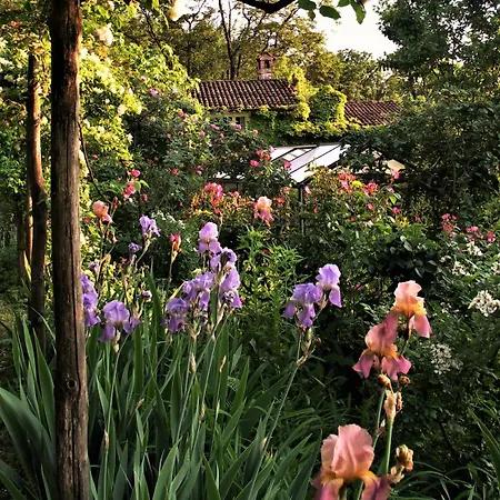 Farm stay La Traversina Stazzano
