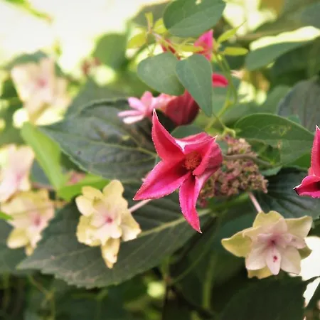 La Traversina Feriegård *