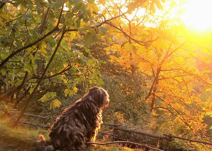 La Traversina Stazzano